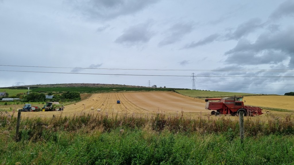 A hay field being harvested into bales.