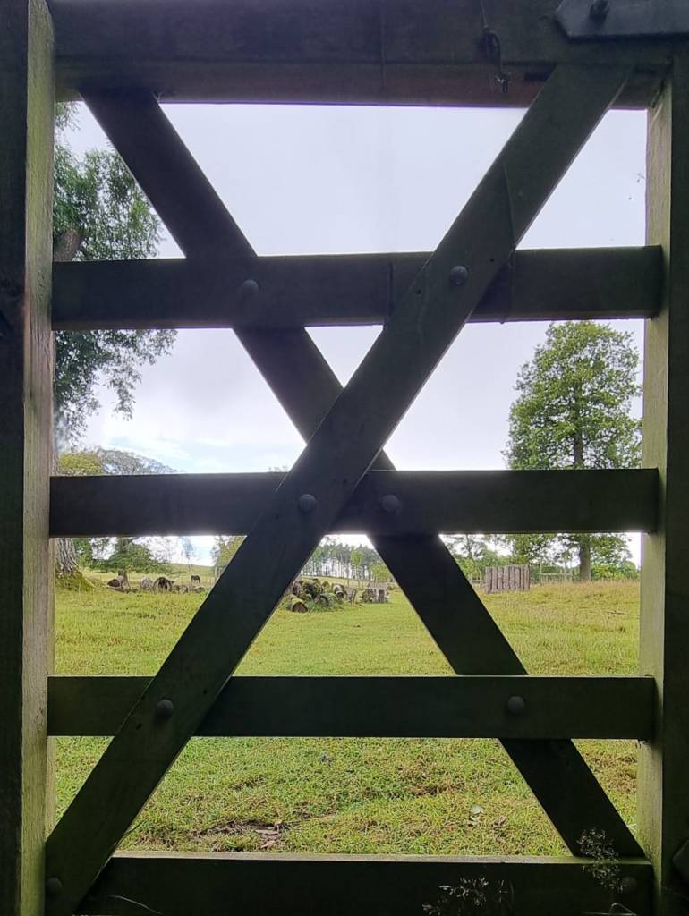 An image of a field through the bars of a gate.