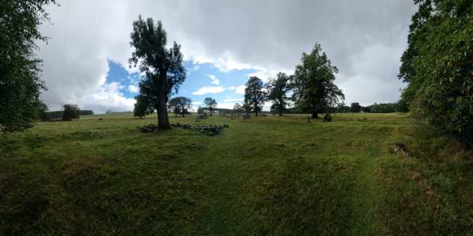 A panoramic view of a large field with some scattered trees dividing the space.